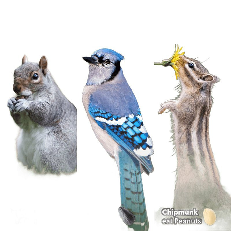 Feathered Friend 14367 Wild Bird Food, 10 lb, Bag