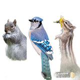 Feathered Friend 14367 Wild Bird Food, 10 lb, Bag
