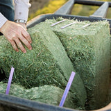 Standlee 1100-20025-0-0 Alfalfa Compressed Bale, Pack of 24