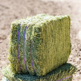 Standlee 1100-20025-0-0 Alfalfa Compressed Bale, Pack of 24