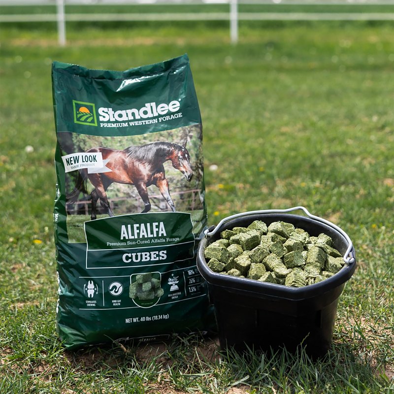 Standlee Premium Alfalfa 1180-40101-0-0 Horse Supplement, Cube, 40 lb Bag