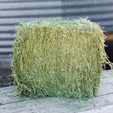 Standlee Premium Alfalfa 1500-20021-0-0 Horse Supplement, Compressed Bale, 50 lb Bale