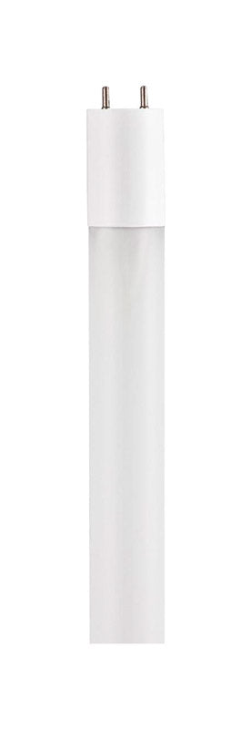 Westinghouse LED Cool White 23.78 in. G13 (Medium Bi-Pin) T8 Light Bulb 1 pk, Pack of 10