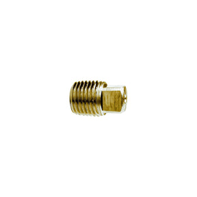 1/4 Brass Sq Head Pipe Plug