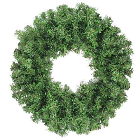 Holiday Bright Lights 24 in. D X 2 ft. L Douglas Wreath, Pack of 6