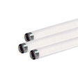 Satco 15 W T8 1 in. D X 17.78 in. L Fluorescent Bulb Daylight Linear 6500 K 1 pk, Pack of 24