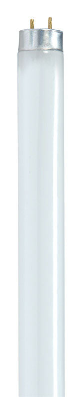 Satco 17 W T8 1 in. D X 23.78 in. L Fluorescent Bulb Cool White Linear 4100 K 1 pk, Pack of 30