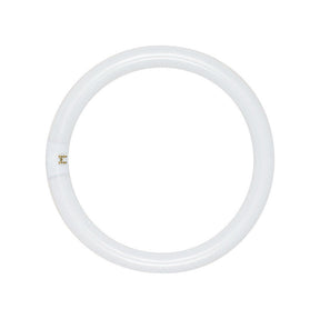 Satco 22 W T9 1.13 in. D X 8 in. L Circline Fluorescent Bulb Daylight Tubular 6500 K 1 pk