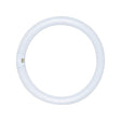 Satco 32 W T9 1.13 in. D X 12 in. L Circline Fluorescent Bulb Daylight Tubular 6500 K 1 pk