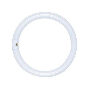 Satco 32 W T9 1.13 in. D X 12 in. L Circline Fluorescent Bulb Daylight Tubular 6500 K 1 pk