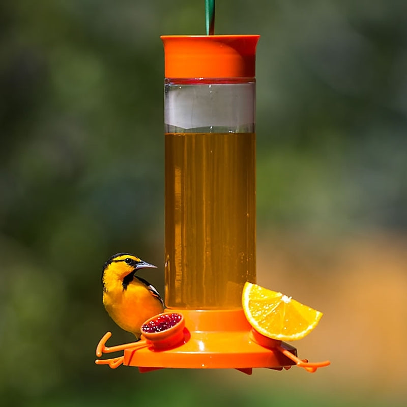 Perky-Pet 209BO-4 Fruit Trio Nectar Feeder, 30 oz, Jelly, Nectar, Orange Slices, 4-Port/Perch