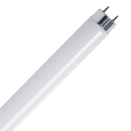 Feit Legacy Bulbs 30 W T8 1 in. D X 35.6 in. L Fluorescent Bulb Cool White Linear 4100 K 1 pk, Pack of 6