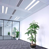 Feit Legacy Bulbs 8 W T5 0.6 in. D X 12 in. L Fluorescent Bulb Bright White Linear 3000 K 1 pk