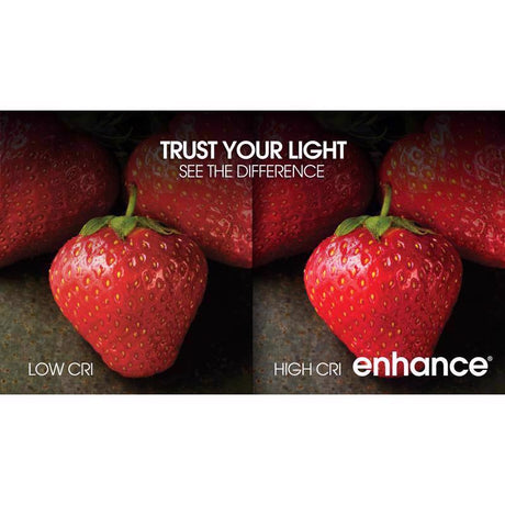 Feit Enhance BR30 E26 (Medium) LED Bulb Daylight 65 Watt Equivalence 12 pk