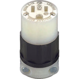 Leviton Industrial Nylon Grounding Plug 5-15R 2 Pole 3 Wire