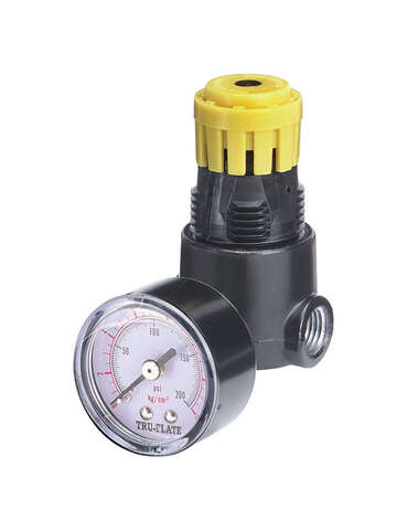 Tru-Flate Plastic/Steel Mini Regulator with Gauge 1/4 in. NPT 160 psi 1 pc