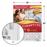 NaturalAire 20 in. W X 25 in. H X 1 in. Synthetic 10 MERV Pleated Microparticle Air Filter 1 pk, Pack of 6