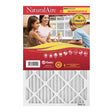 NaturalAire 14 in. W X 24 in. H X 1 in. Synthetic 10 MERV Pleated Microparticle Air Filter 1 pk, Pack of 6