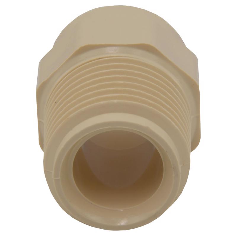 Charlotte Pipe FlowGuard Schedule 40 1/2 in. Socket X 1/2 in. D MNPT CPVC Adapter 1 pk, Pack of 25