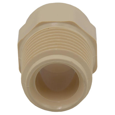 Charlotte Pipe FlowGuard Schedule 40 1/2 in. Socket X 1/2 in. D MNPT CPVC Adapter 1 pk, Pack of 25