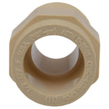 Charlotte Pipe FlowGuard Schedule 40 1/2 in. Socket X 1/2 in. D MNPT CPVC Adapter 1 pk, Pack of 25