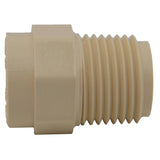 Charlotte Pipe FlowGuard Schedule 40 1/2 in. Socket X 1/2 in. D MNPT CPVC Adapter 1 pk, Pack of 25