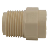 Charlotte Pipe FlowGuard Schedule 40 1/2 in. Socket X 1/2 in. D MNPT CPVC Adapter 1 pk, Pack of 25