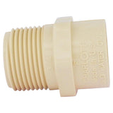 Charlotte Pipe FlowGuard Schedule 40 3/4 in. Socket X 3/4 in. D MNPT CPVC Adapter 1 pk, Pack of 25