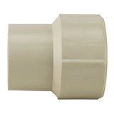 Apollo Schedule 40 3/4 in. Slip in to X 3/4 in. D FNPT CPVC Female Adapter 1 pk