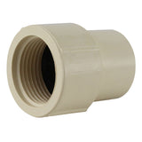 Apollo Schedule 40 3/4 in. Slip in to X 3/4 in. D FNPT CPVC Female Adapter 1 pk
