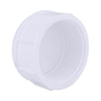 Charlotte Pipe Schedule 40 3 in. FPT PVC Cap 1 pk