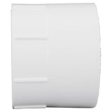 Charlotte Pipe Schedule 40 1-1/4 in. Hub X 1-1/4 in. D FPT PVC Adapter 1 pk