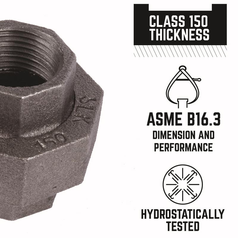 STZ Industries 1/2 in. FIP each X 1/2 in. D FIP Black Malleable Iron Union, Pack of 5