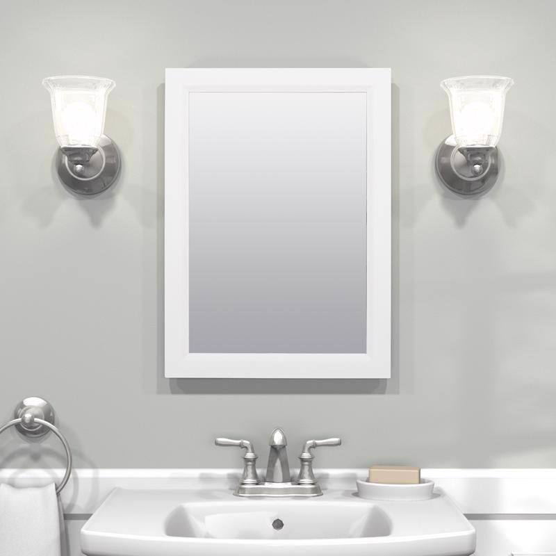 Zenna Home 22.38 in. H X 16.38 in. W X 5 in. D Rectangle Medicine Cabinet