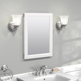 Zenna Home 22.38 in. H X 16.38 in. W X 5 in. D Rectangle Medicine Cabinet