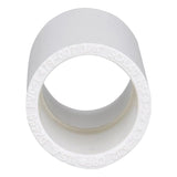 Charlotte Pipe Schedule 40 3/4 in. Socket X 3/4 in. D Socket PVC Coupling 1 pk
