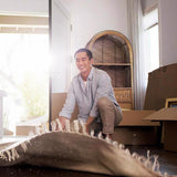 Filtrete 16 in. W X 24 in. H X 1 in. D 1000 MPR Pleated Allergen Air Filter 1 pk, Pack of 4