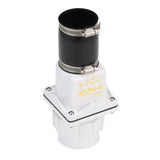 Flint & Walling Zoeller 2 in. D Slip PVC Check Valve, Pack of 4