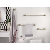 Moen Arlys Brushed Nickel Silver Towel Bar 24 in. L Zinc
