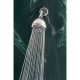 Whedon Rainbow Massage Polished Chrome Plastic 7 settings Showerhead 2 gpm