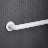 Oakbrook Collection 18 in. L ADA Compliant Stainless Steel Grab Bar
