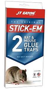 J.T. Eaton 155N Ready-to-Use Glue Trap, 5 in W, 10 in H, Pack of 12