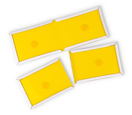 J.T. Eaton STICK-EM 154 Mini Mighty Glue Board, Glue Locking