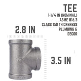 STZ Industries 1-1/4 in. FIP each X 1-1/4 in. D FIP 1-1/4 in. D FIP Black Malleable Iron Tee