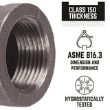 STZ Industries 3/8 in. FIP each X 3/8 in. D FIP Black Malleable Iron Coupling