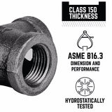STZ Industries 3/8 in. FIP each X 3/8 in. D FIP Black Malleable Iron Union