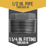 STZ Industries 1-1/4 in. MIP each X 1/2 in. D FIP Black Malleable Iron Hex Bushing