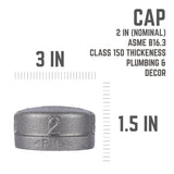 STZ Industries 2 in. FIP each Black Malleable Iron Cap