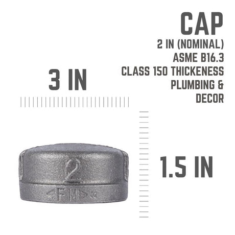 STZ Industries 2 in. FIP each Black Malleable Iron Cap