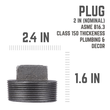 STZ Industries 2 in. MIP each Black Malleable Iron Plug